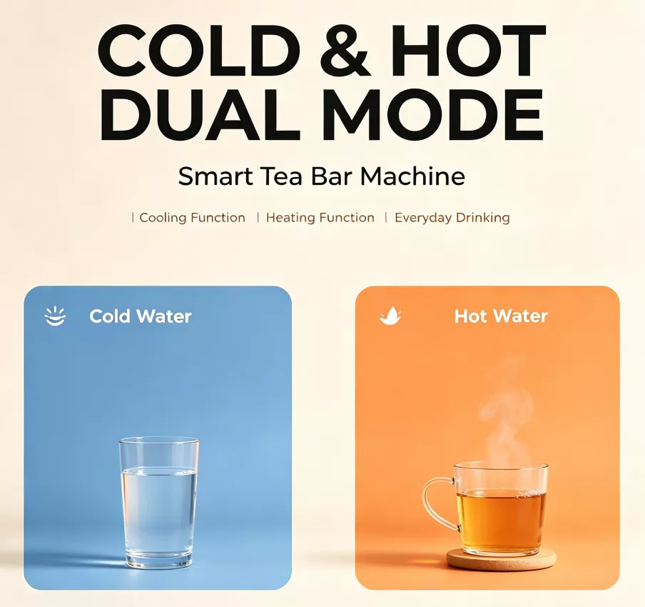 Dual LED temperature display panels